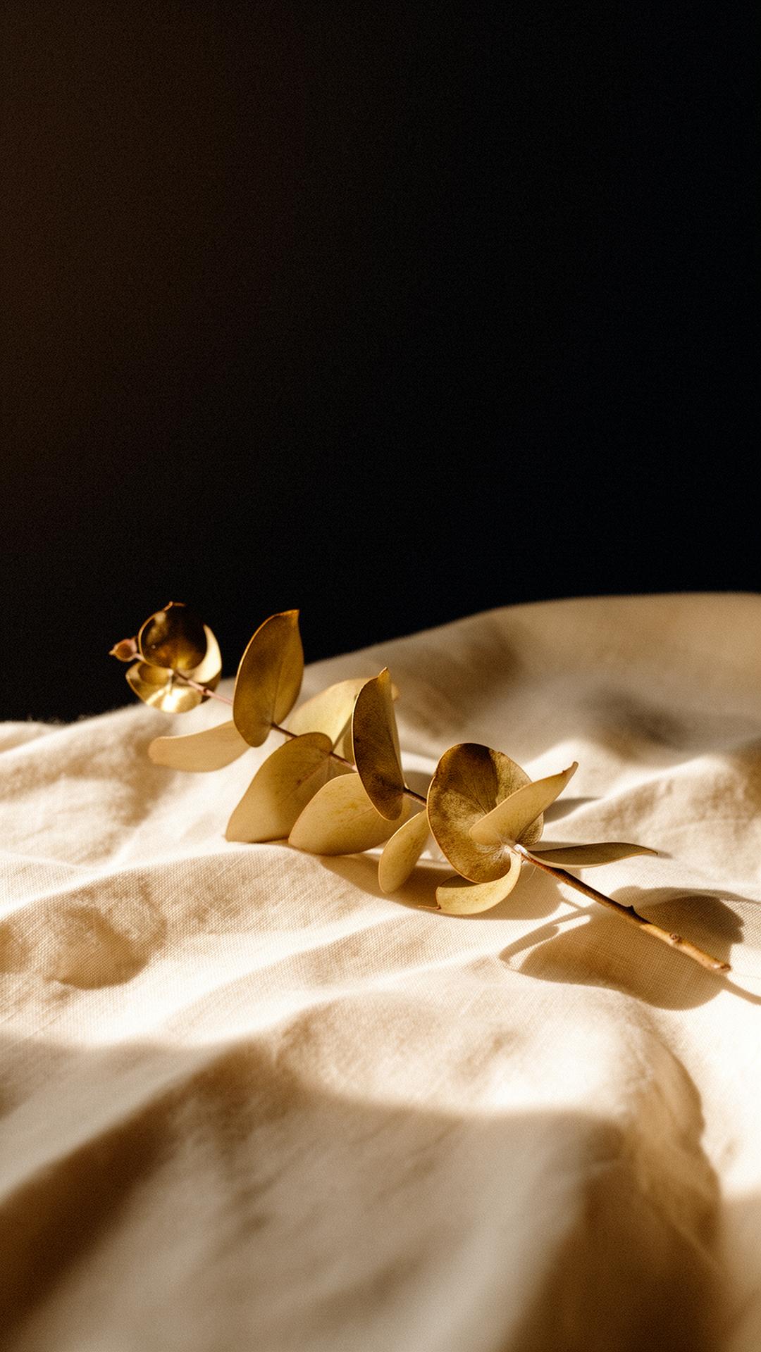 A single golden eucalyptus branch resting on warm cream linen